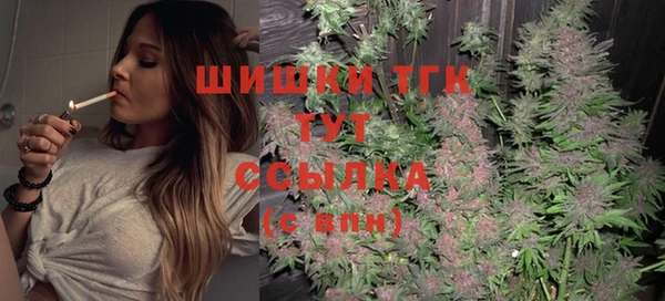 прущие грибы Медвежьегорск