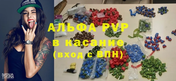 прущие грибы Медвежьегорск