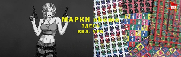 прущие грибы Медвежьегорск