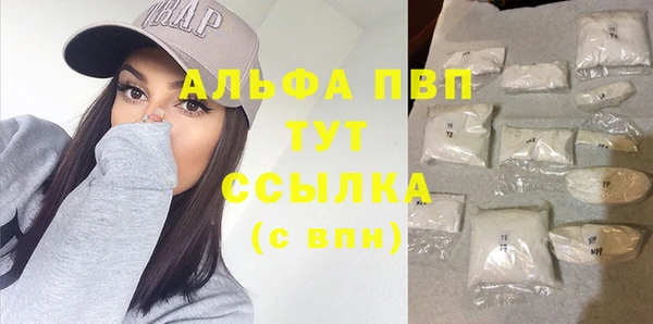 прущие грибы Медвежьегорск