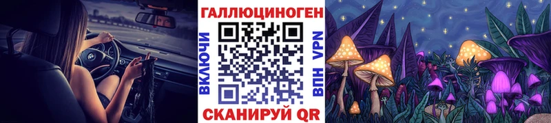 Галлюциногенные грибы Psilocybe  даркнет какой сайт  Кадников 